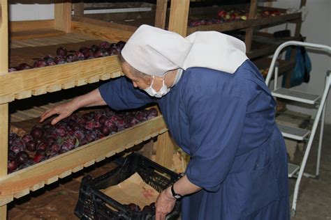 Vida Consagrada Monjas Beneditinas De Roriz Agradecem Ajuda