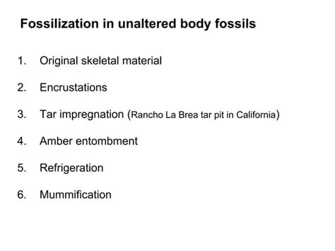 Fossils Fossilization Ppt