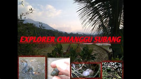 Explore Di Desa Cimanggu Subang ADA IKAN JUMBO KEINDAHAN ALAM