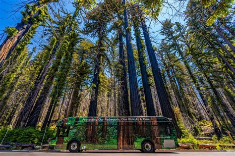 Big Basin Redwoods State Park Celebrates One Year Reopened Santa Cruz