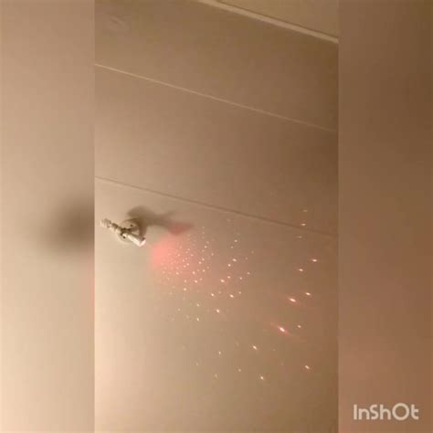Free Jerking Off In That Vagina But It S The Groans For Me Porn Video