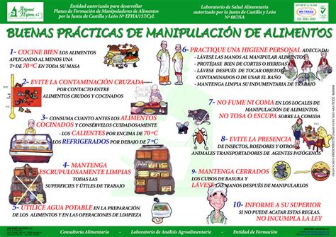 Buenas Pr Cticas De Manipulaci N De Alimentos Abiomed Higiene