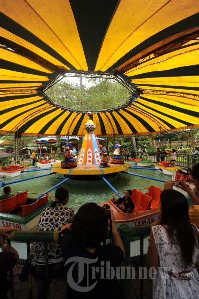 Liburan Akhir Tahun Di Taman Safari Indonesia Foto