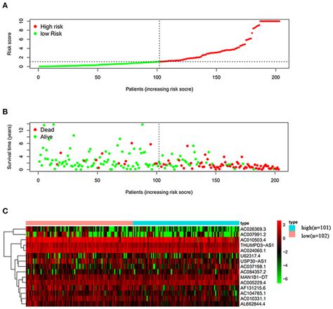 Analysis Of Autophagy Related Lncrna Risk Scores Of Patients With Bc In