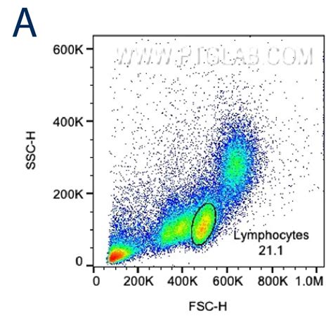 Flow Cytometry Gating Schematic Diagram Gating Cytometric Tc Identification Cells – Ecosdeltorbes