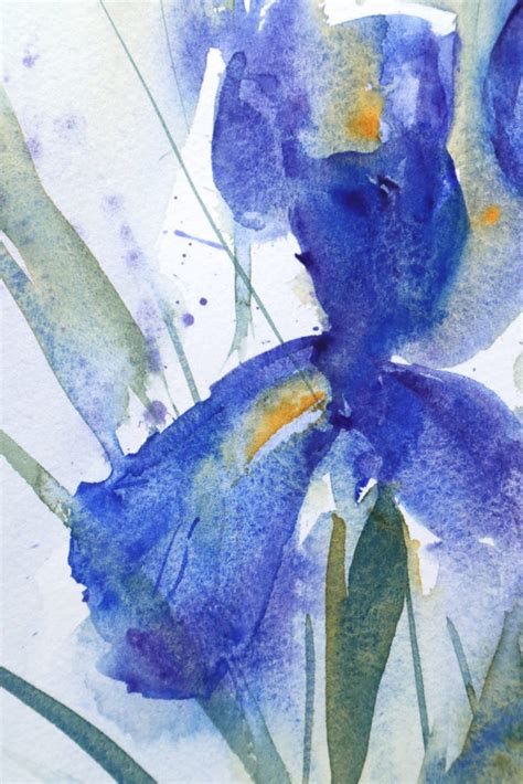 Peindre des iris à l aquarelle Ursula Schichan