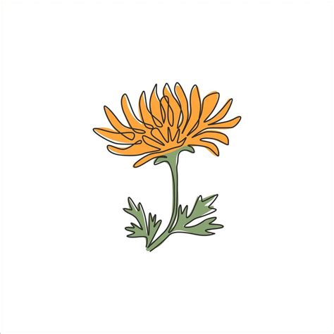 One Continuous Line Drawing Beauty Fresh Chrysanthemum For Garden Logo