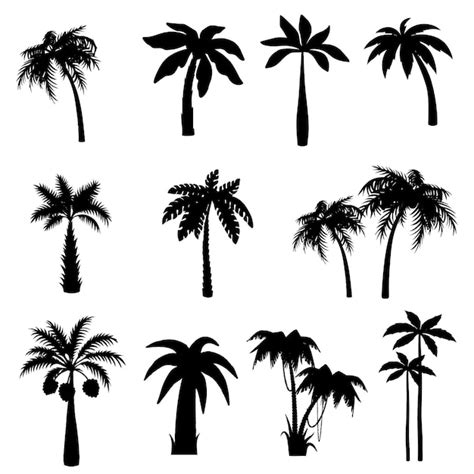 Ilustración Vectorial De La Palmera De Bambú El Diseño De Eps Para Vibraciones Tropicales