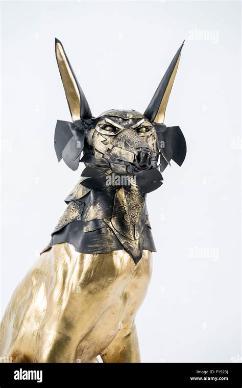 Egyptian Jackal God Anubis