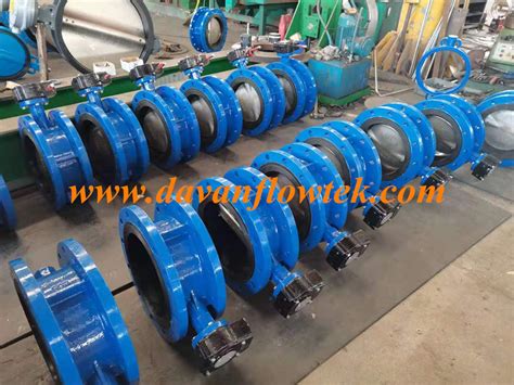 Flanged Wafer Lug Ggg40 Ductile Cast Iron Dn300 Pn16 En1092 Water Double Flange Blue Gear