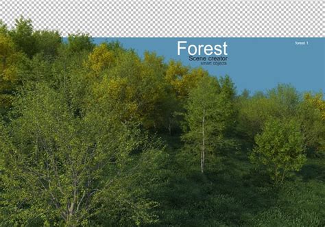 premium psd beautiful variety  forest layouts