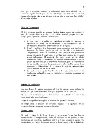 Yuli Dengue Pdf