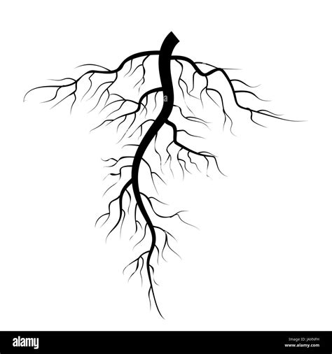 Tree Underground Roots Vector Set Illustration Isolated Stock Vector