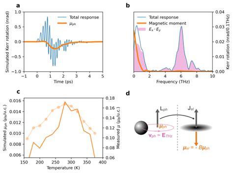 Experimental And Modelled Dynamical Multiferroicity A Time Domain