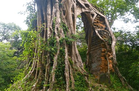 Sambor Prei Kuk Tour Explore The Magnificent Temple From Siem Reap