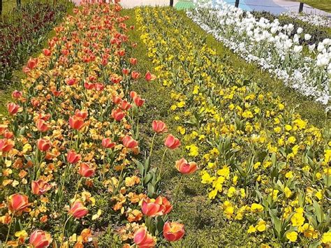 足立区「虹の広場」の初夏 荒川三歩