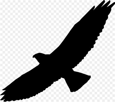 Free Hawk Flying Silhouette, Download Free Hawk Flying Silhouette png ...