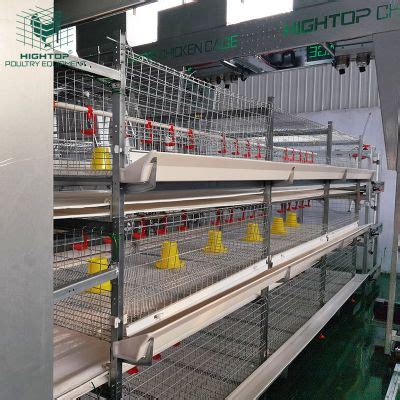 Automatic Rearing System Broiler H Type Hot DIP Galvanized Meat Battery