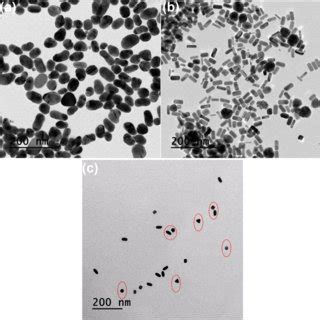 HR TEM Images Of GNS A GNR B And GNT C With The Scale Bar Of