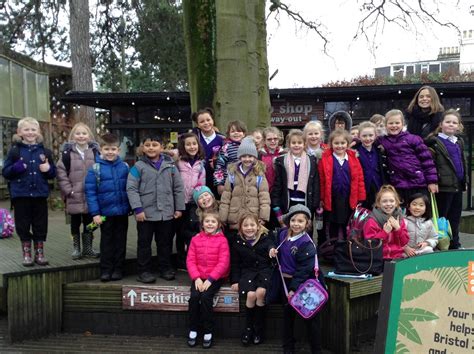 Callicroft Primary Academy Year 2 Visit Bristol Zoo