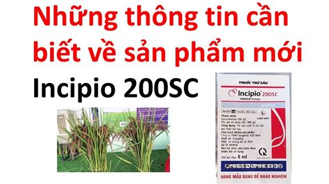 Thuốc trừ sâu mới từ Syngenta Incipio 200SC Plinazolin sâu hại