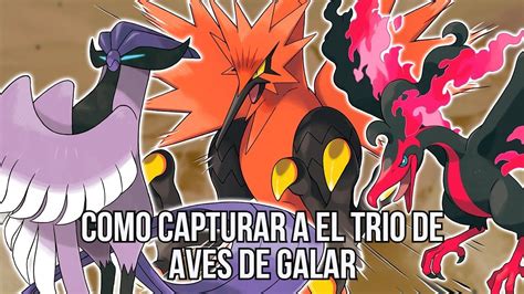 Como Capturar A Las Aves Legendarias De Galar Moltres Zapdos Y