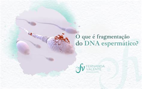 O Que é Fragmentação Do Dna Espermático