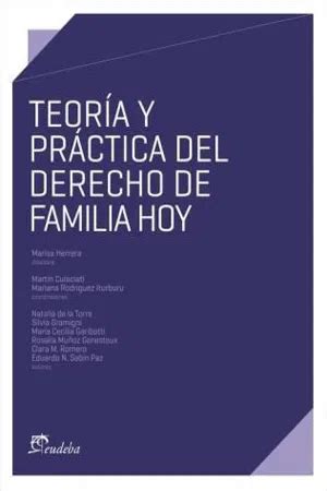 PDF Teoría y práctica del derecho de familia hoy von Marisa Herrera