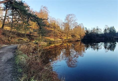 Morning Reflections In Tarn Hows Anthony Parkes Cc By Sa 2 0