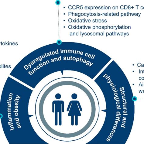 Sex Differences In Copd Abbreviations Ccr Cc Chemokine Receptor Cd