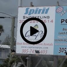 Spirit Snorkeling- Marathon, Florida Keys - Marathon Florida Keys