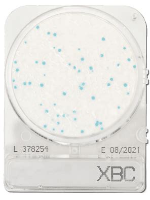 A Compact Dry Bacillus Cereus Compact Dry X Bc Bacillus Cereus