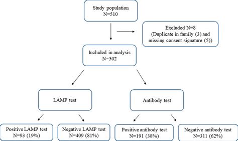 Study Flow Chart Lamp Loop Mediated Isothermal Amplification