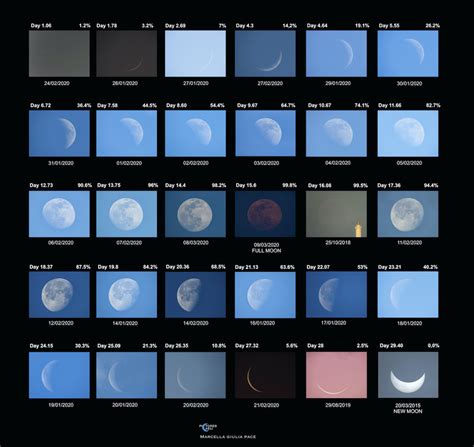 All the Moon phases shot during the daylight - Sky & Telescope - Sky ...