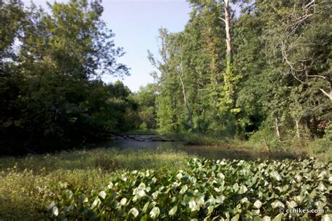 Visit Lake Conestee Nature Park near Greenville, South Carolina