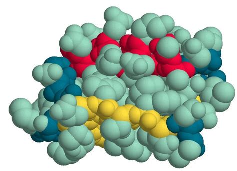 Biokimia Protein