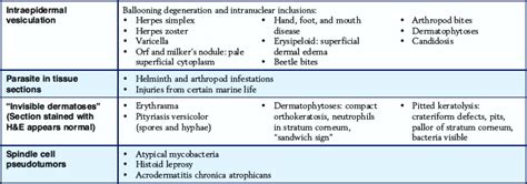 Cutaneous Infections And Infestations Plastic Surgery Key