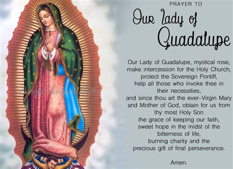 Oración de protección a la Virgen de Guadalupe: escudo divino en ...