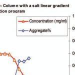 Monoclonal Antibody Production and Purification Methods - InfiniGEEK