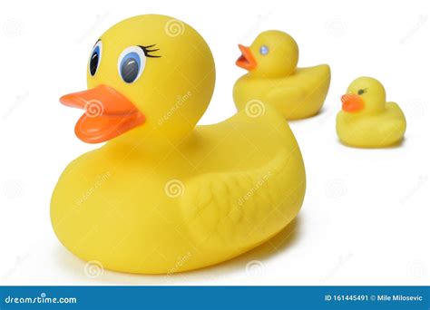 Plastic Yellow Duck Toy Stock Image Image Of Ducking 161445491