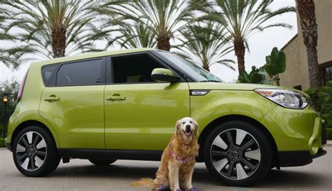 Kia Soul Alien Review Golden Woofs