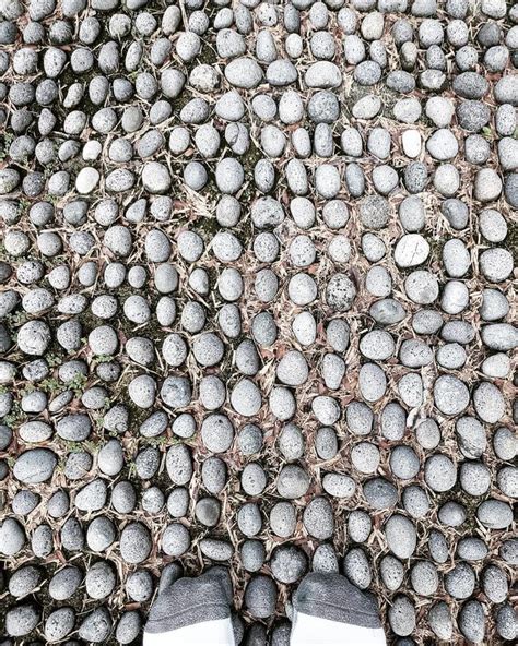 These 22 Photos Will Help You Figure Out If You Have Trypophobia