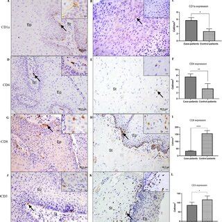 Immunohistochemical Assays Photomicrographs And Graphics Showing The