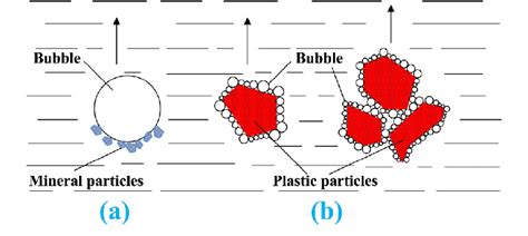 Bubble Particle Aggregates In A Ores Flotation And B Plastics