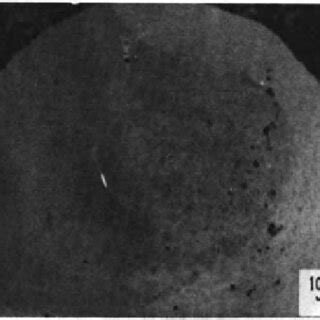 SEM of molybdenum particle. | Download Scientific Diagram