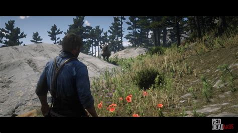 Giant Boar Rdr2 Animals Map Location And Where To Find