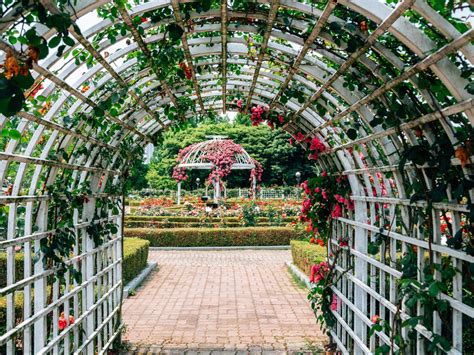 Most beautiful places in South Korea - Solo Female Travelers