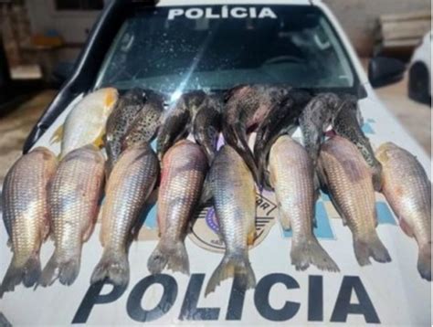 Em fiscalização na piracema a Polícia Ambiental apreende mais de 70kg