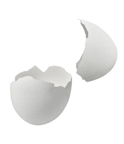 Premium Photo Egg Shell Food White Breakfast Ingredient Fragile