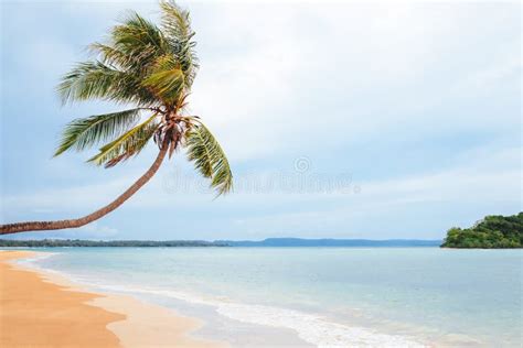 Vistas A Una Bonita Playa Tropical Con Palmeras Concepto De Vacaciones